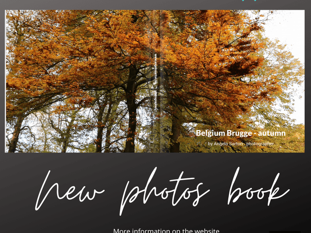 Book Collection of BRUGGE_Belgium Autumn