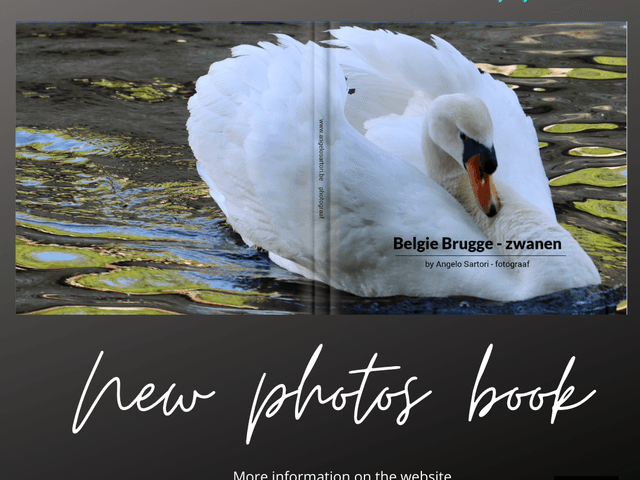 Book Collection of Collection Belgium 2020