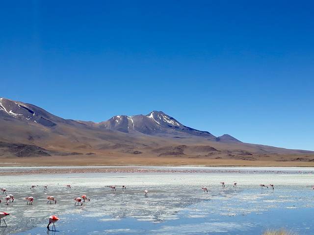 Countries / Cities of Chile - Atacama Desert - 2017