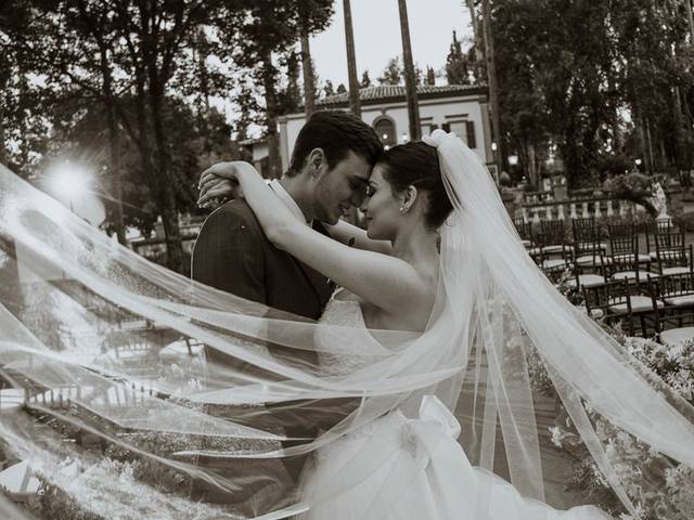 Wedding de Grazi e José