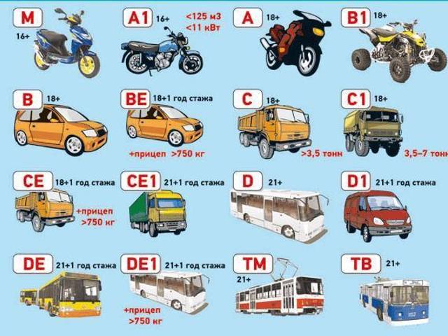 Drivers license of Buy european driving licence Without Exam