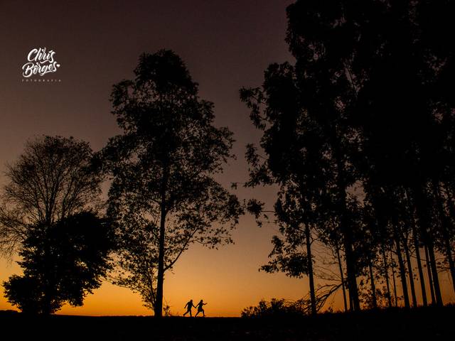 Pré-Casamento de Patrícia & Fernando