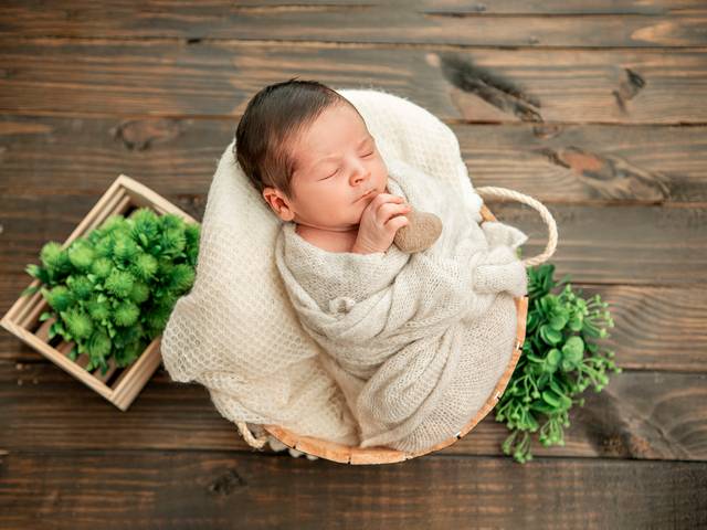 Newborn de Ensaio Newborn Levi