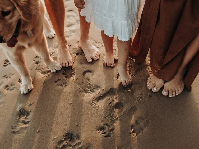 Família de Ensaio família Rafinha