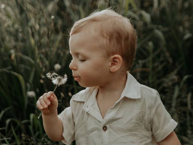 Família de Oliver - Uma tarde no campo