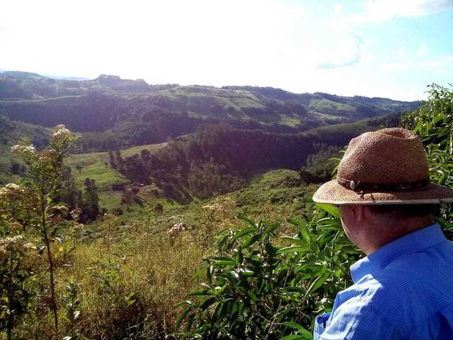 Cultura de Imigração italiana no Brasil 