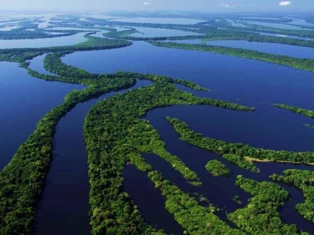 em destaque de Amazônia, patrimônio da vida.