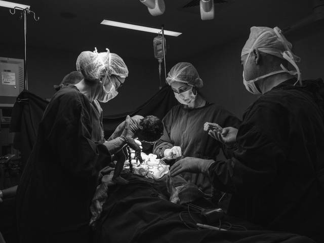 Famílias de Carol & Lucas - Nascimento da Maitê