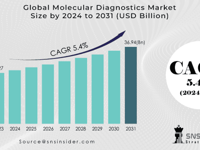 business of Molecular Diagnostics Market Analysis with COVID-19 Impact on Business Growth, and Forecast 2024–2031