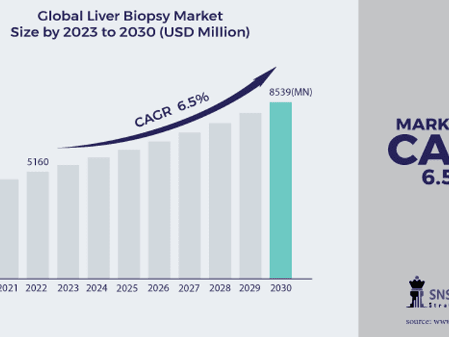 business of Liver Biopsy Market Size, Share, Trends, Analysis, COVID-19 Impact Analysis and Forecast 2024–2031