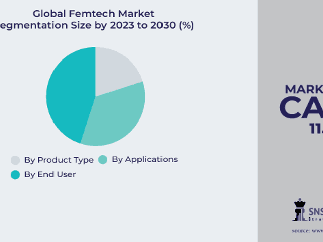 business of No titlFemtech Market Size Size, Share, Trends, Analysis, and Forecast 2024-2031e