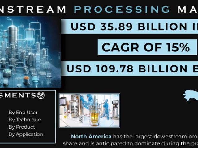 business of Downstream Processing Market Analysis with COVID-19 Impact on Business Growth, and Forecast 2024-2031