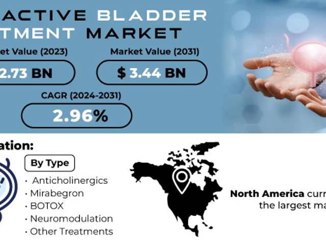 business of Overactive Bladder Treatment Market Size, Share, Trends, Analysis, and Forecast 2024-2031