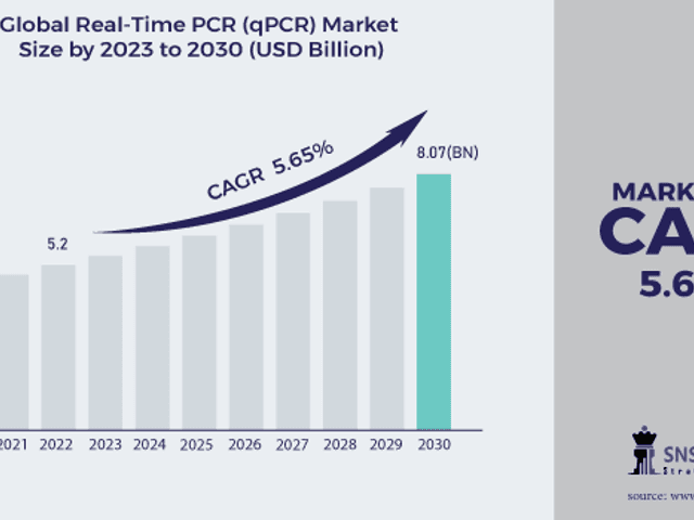 business of Real-Time PCR (QPCR) Market Analysis with COVID-19 Impact on Business Growth, and Forecast 2024-2031