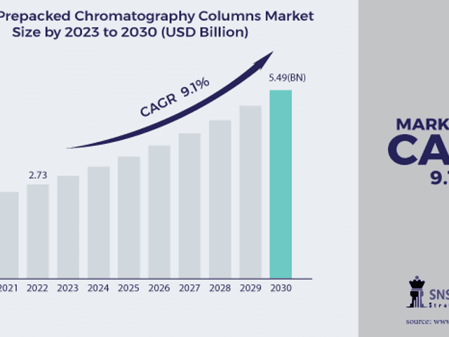 business of Prepacked Chromatography Columns Market Analysis with COVID-19 Impact on Business Growth, and Forecast 2024-2031