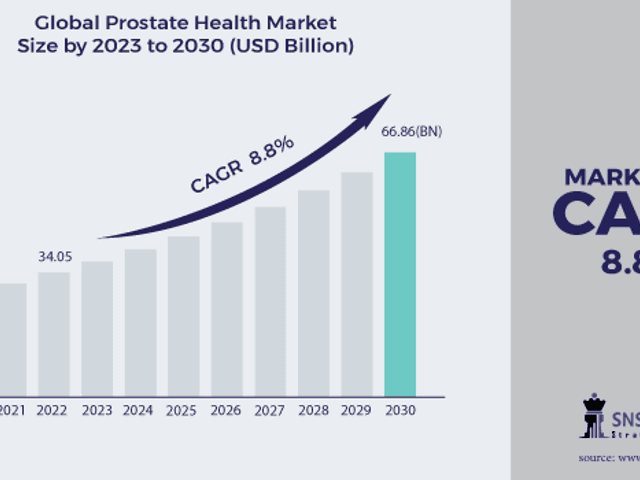 business of Prostate health market Analysis with COVID-19 Impact on Business Growth, and Forecast 2024-2031