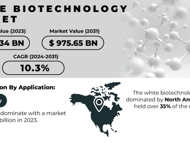 business of White Biotechnology Market Analysis with COVID-19 Impact on Business Growth, and Forecast 2024-2031