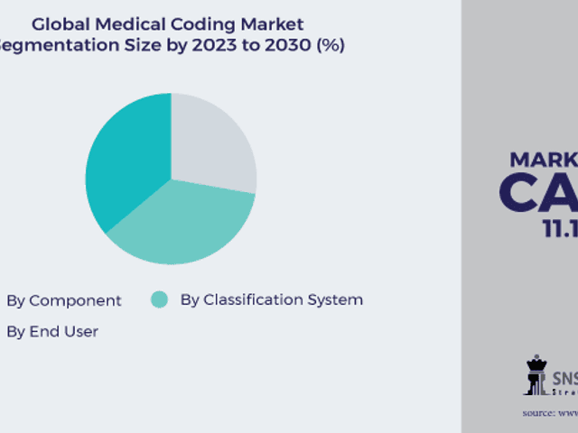 business of Medical Coding Market Analysis with COVID-19 Impact on Business Growth, and Forecast 2024-2031