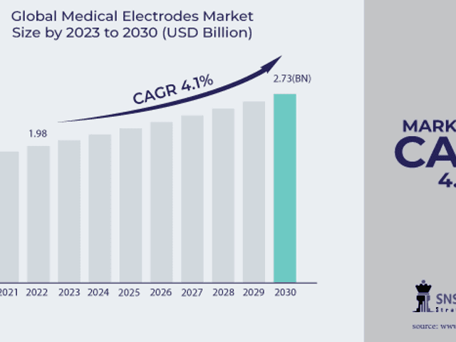 business of Medical Electrodes Market Size, Share, Trends, Analysis, and Forecast 2024-2031