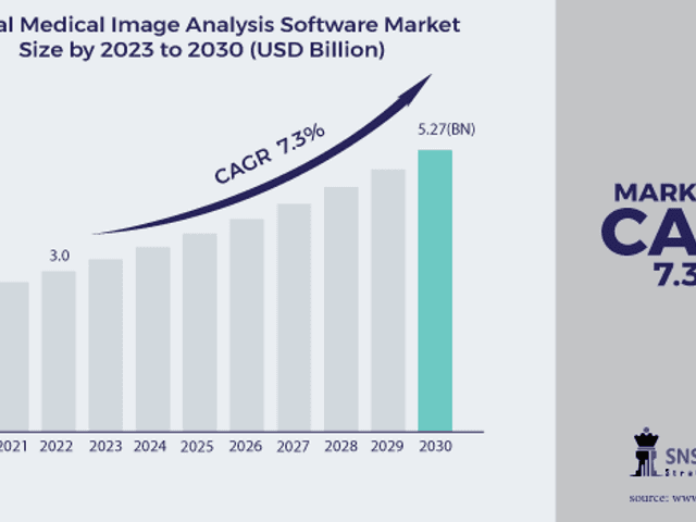 business of Medical Image Analysis Software market Size, Share, Trends, Analysis, and Forecast 2024-2031