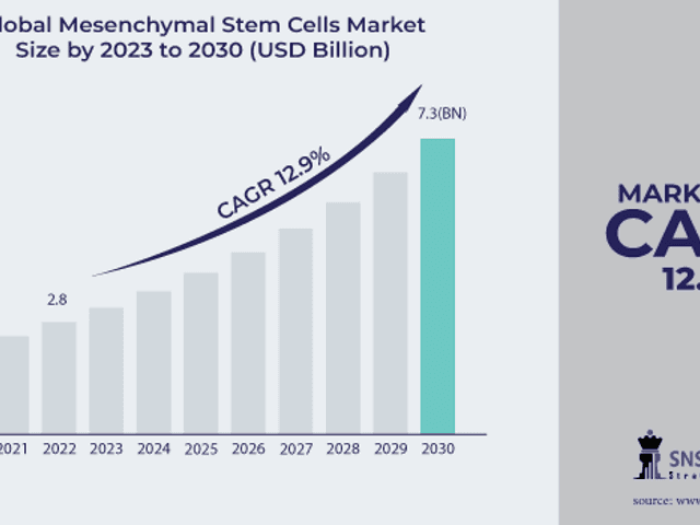 business of Mesenchymal Stem Cells Market Analysis with COVID-19 Impact on Business Growth, and Forecast 2024–2031