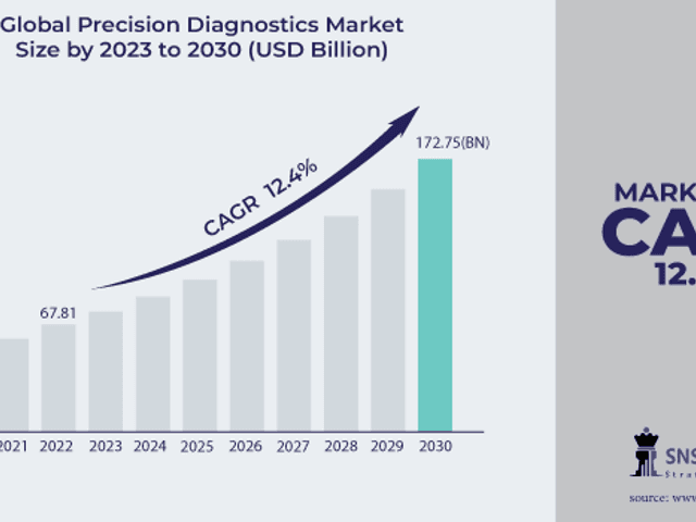 business of Precision Diagnostics Market: Pioneering Accuracy