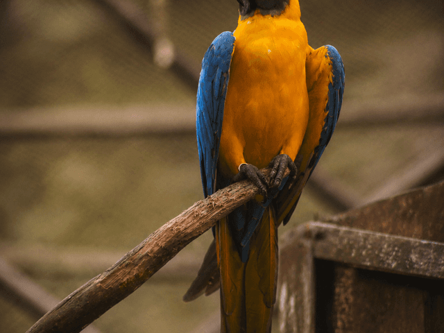 Zoológico  de Zoológico bica