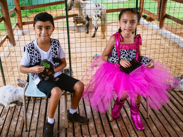 Festa Infantil de Aniversário Théo e Olívia 7 anos