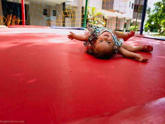 Festa Infantil de Aniversário de 2 anos da Lívia