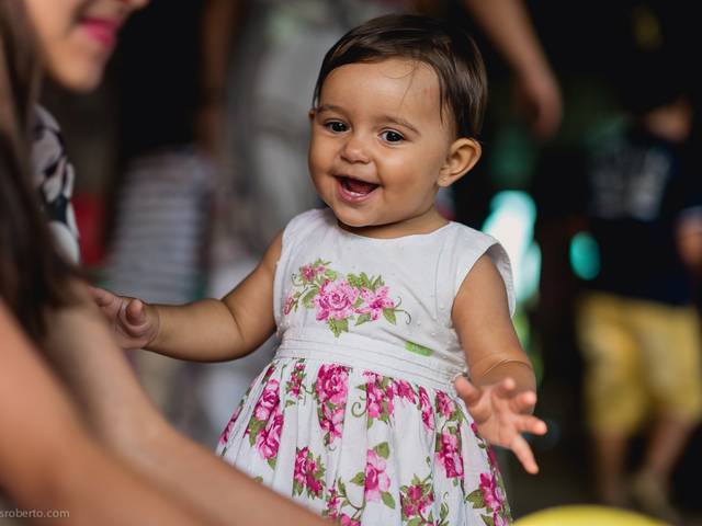 Festa Infantil de Aniversário de 1 ano da Angelina