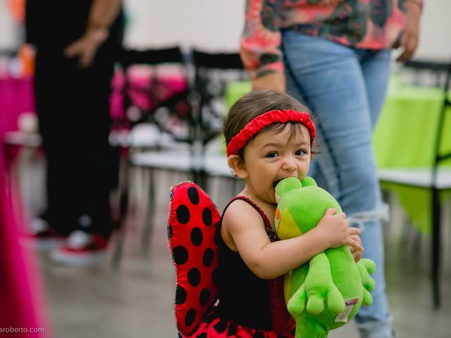 Festa Infantil de Aniversário de 1 ano da Camila