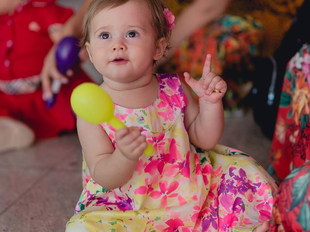 Festa Infantil de Aniversário de 1 ano da Sophia