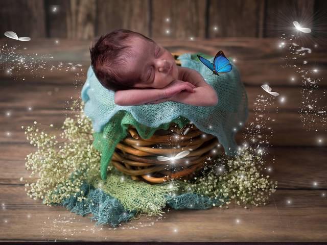 Ensaios Newborn de Ensaio Newborn