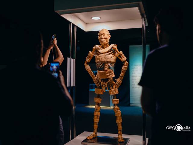 Eventos de Exposição Human Bodies