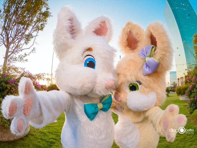 Eventos de Caça aos Ovos e Meet & Greet com o coelho da Páscoa
