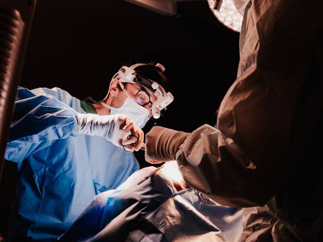 COBERTURA CIRURGICA de Rinosseptoplastia - Dr Thomás Cito