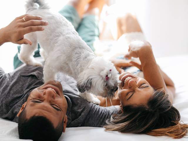 Gestante de Ale + Alex = Lara