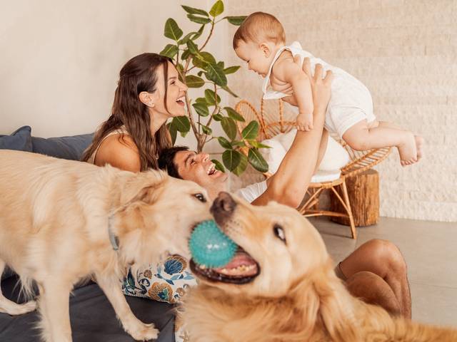 Acompanhamento de Acompanhamento 6 meses - Lifestyle