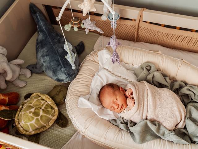 Newborn de Pedro Newborn