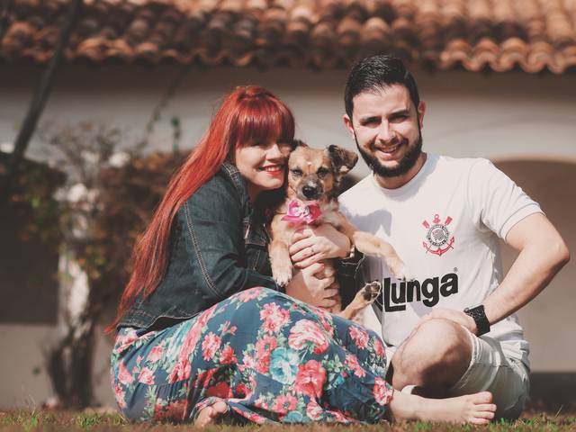 Ensaios Externos de Pet