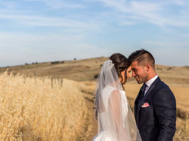 Casamentos de Sandra & André