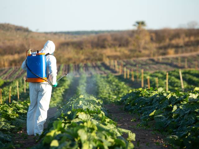 Fotos Publicitárias de Sayro 2023