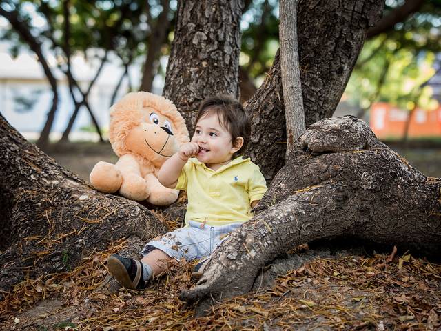 Ensaio Família de Benjamin - 01 Ano