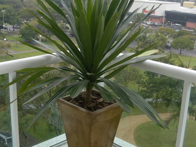 Paisagismo de RESIDÊNCIA R. F. - PAISAGISMO