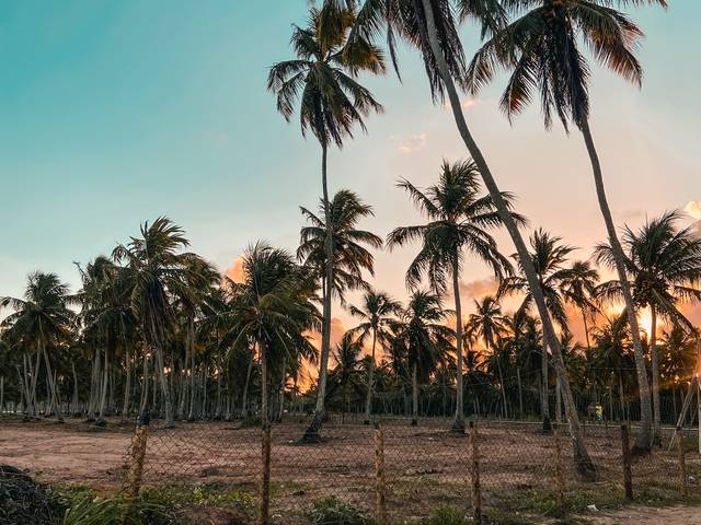 Autorais de Avulsas || 🇧🇷 