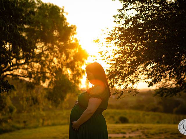 Ensaio Gestante de Ensaio Gestante Fernanda