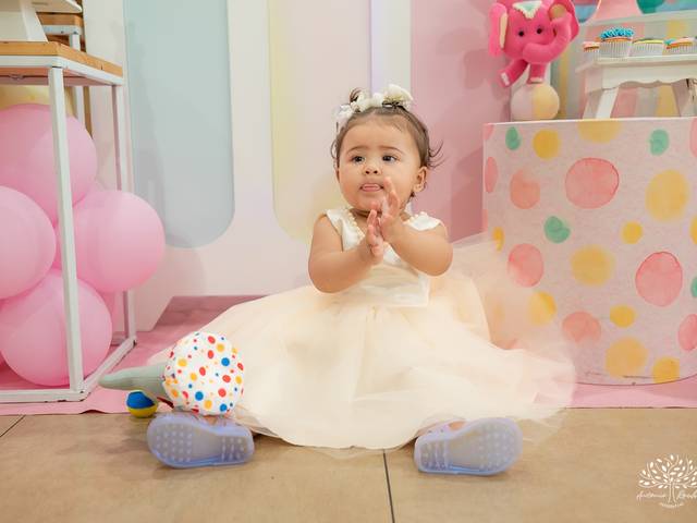 Festa Infantil de Sophia Primeiro Aninho
