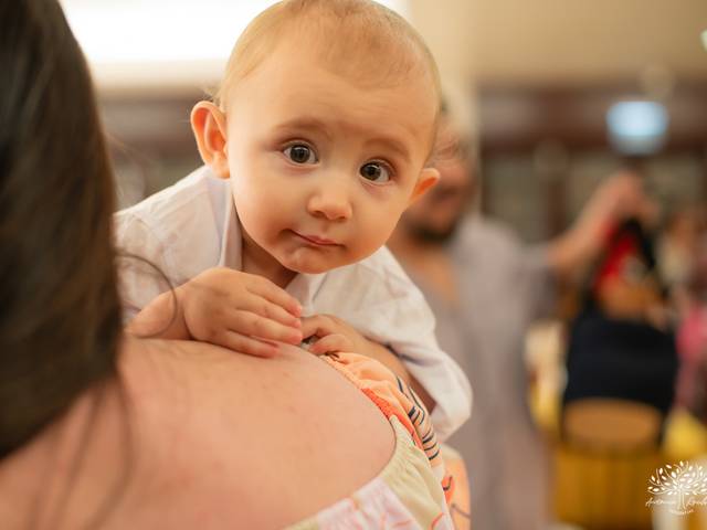 Festa Infantil de Bento Primeiro Aninho