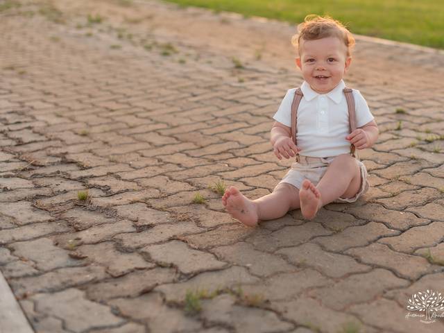 Festa Infantil de Bento Primeiro Aninho