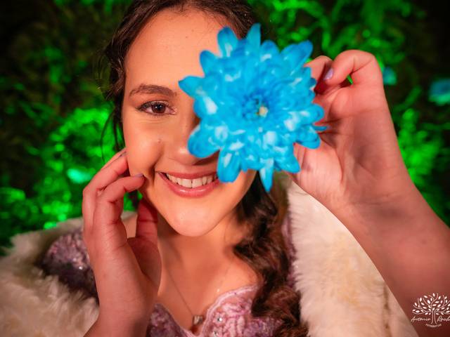 Festa 15 anos de Maitê